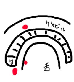 イメージ 1