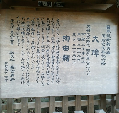 イメージ 4