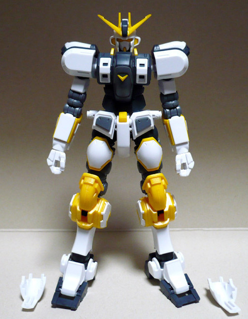 atlas-g-toso01.jpg