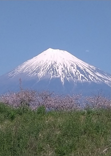 fujisan230409.jpg