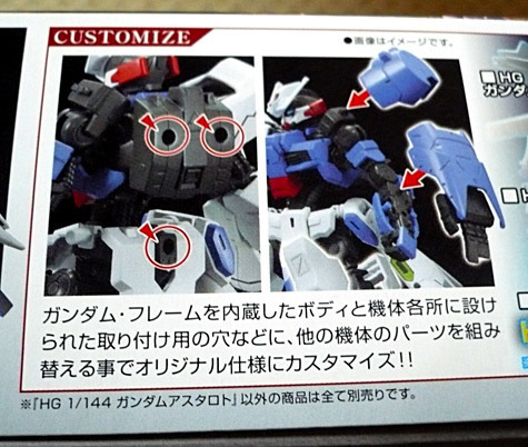 gundam-hg-astaroth05.jpg