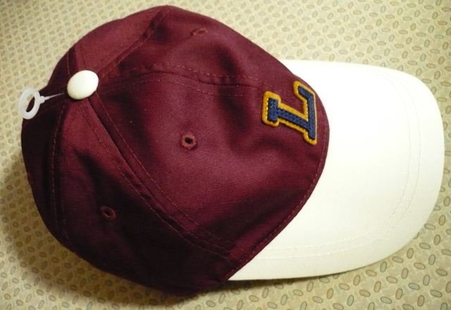 lee-cap02.jpg
