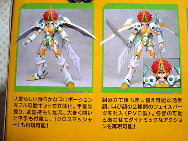 srw-valsione02.jpg
