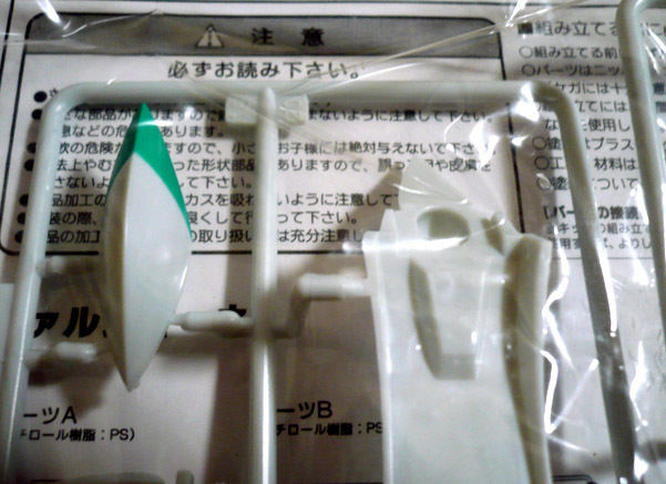 srw-valsione07.jpg